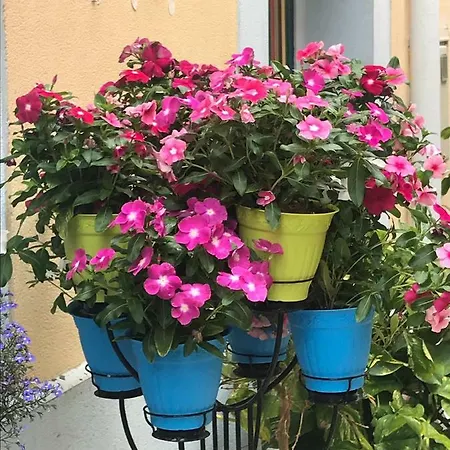 Apartamento Casita Vista Loca Alicante